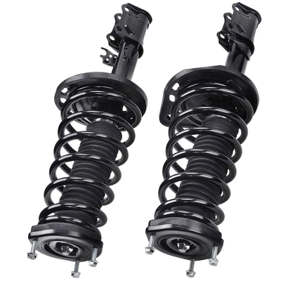 2 Pcs Rear Complete Strut & Coil Spring Assembly