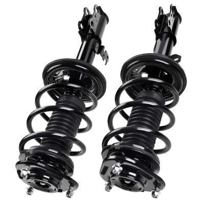 2 Pcs Front Complete Strut & Coil Spring Assembly