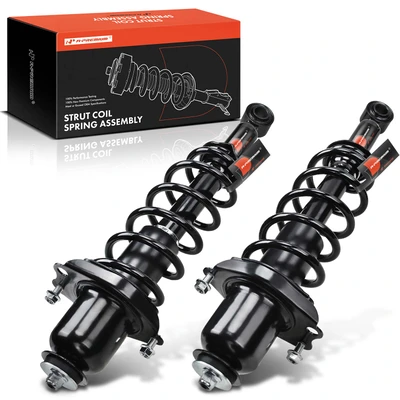 2 Pcs Rear Complete Strut & Coil Spring Assembly