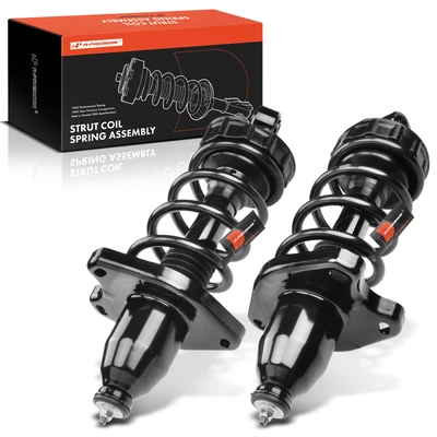 2 Pcs Rear Complete Strut & Coil Spring Assembly