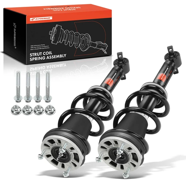 2-Pc Complete Strut & Coil Spring Assembly Front Driver & Passenger A-Premium APSA2493