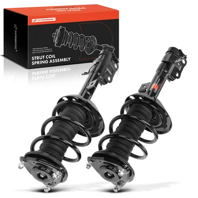 2 Pcs Front Complete Strut & Coil Spring Assembly