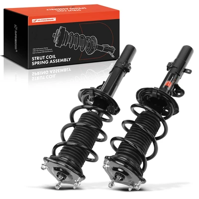 2 Pcs Front Complete Strut & Coil Spring Assembly
