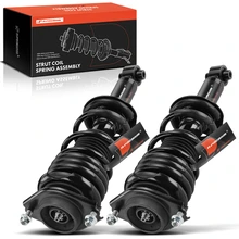 2 Pcs Rear Complete Strut & Coil Spring Assembly