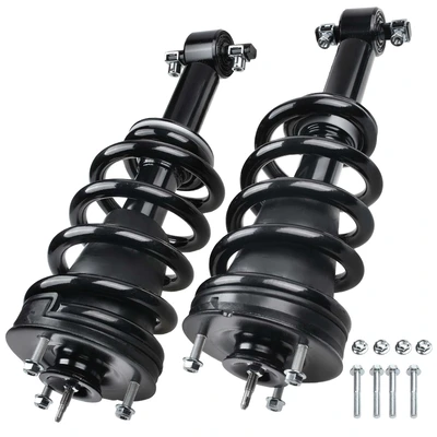 2 Pcs Front Complete Strut & Coil Spring Assembly