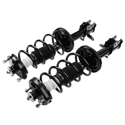 2 Pcs Rear Complete Strut & Coil Spring Assembly