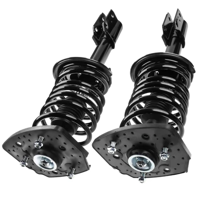 2 Pcs Rear Complete Strut & Coil Spring Assembly