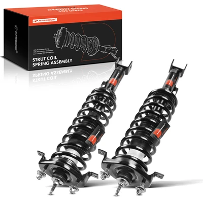 2 Pcs Rear Complete Strut & Coil Spring Assembly