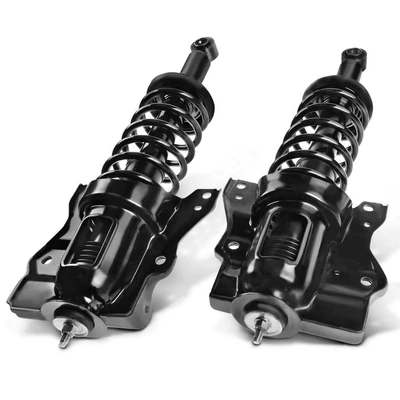 2 Pcs Rear Complete Strut & Coil Spring Assembly