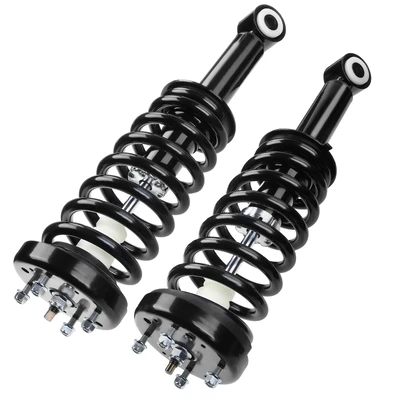 2 Pcs Rear Complete Strut & Coil Spring Assembly