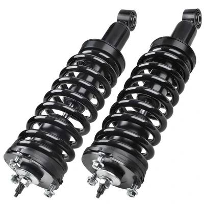 2 Pcs Front Complete Strut & Coil Spring Assembly