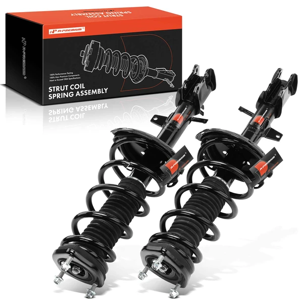 2-Pc Strut and Coil Spring Assembly Set Rear Driver & Passenger A-Premium APSA0665