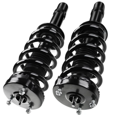 2 Pcs Front Complete Strut & Coil Spring Assembly