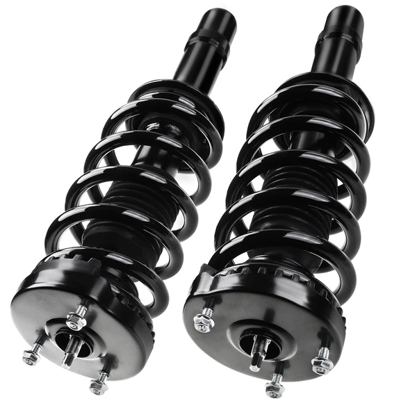 2012-2016 Chrysler 300 2-Pc Strut and Coil Spring Assembly Set Front Driver & Passenger A-Premium APSA0695