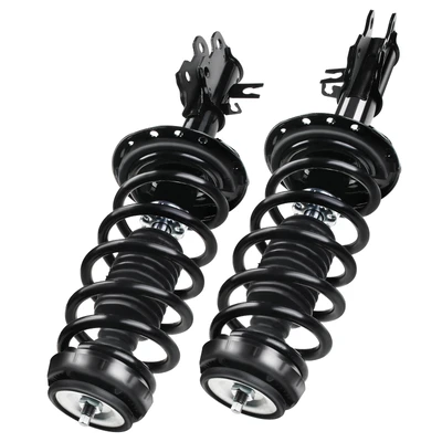 2 Pcs Front Complete Strut & Coil Spring Assembly