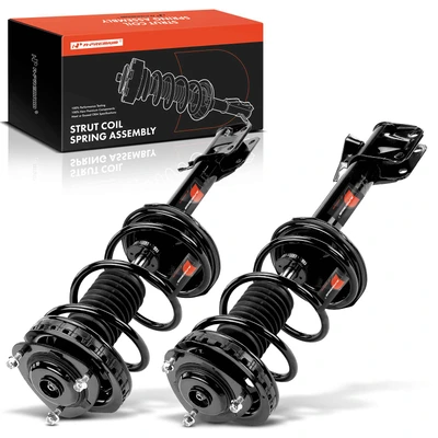 2 Pcs Rear Complete Strut & Coil Spring Assembly