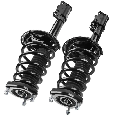 2 Pcs Rear Complete Strut & Coil Spring Assembly
