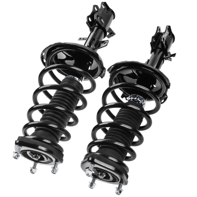 2 Pcs Rear Complete Strut & Coil Spring Assembly