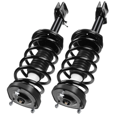 2 Pcs Rear Complete Strut & Coil Spring Assembly