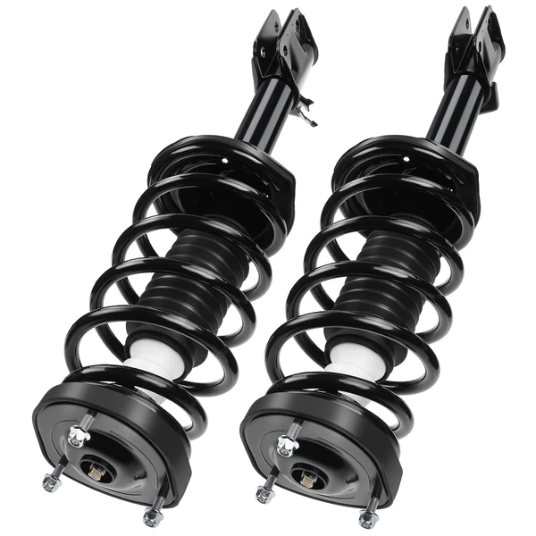 2-Pc Complete Strut + Coil Spring, Rear Driver & Passenger, A-Premium APSA0659