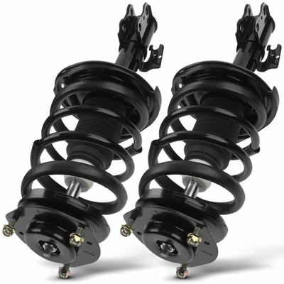 2 Pcs Rear Complete Strut & Coil Spring Assembly