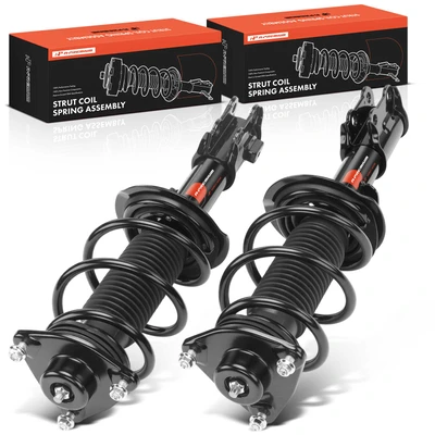2 Pcs Front Complete Strut & Coil Spring Assembly