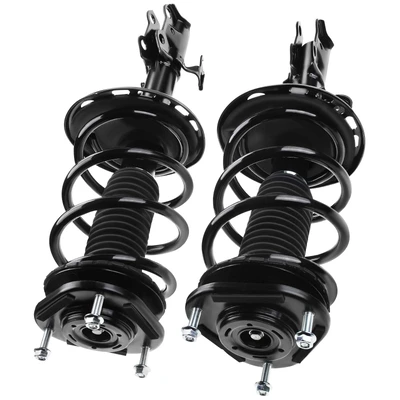 2 Pcs Front Complete Strut & Coil Spring Assembly