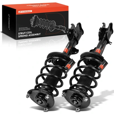 2 Pcs Front Complete Strut & Coil Spring Assembly