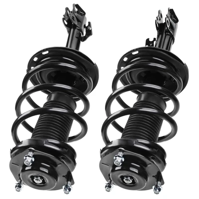 2 Pcs Front Complete Strut & Coil Spring Assembly