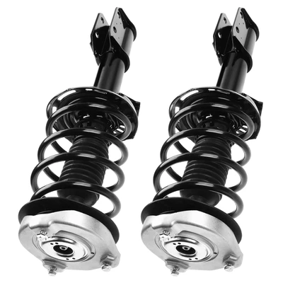 2 Pcs Front Complete Strut & Coil Spring Assembly