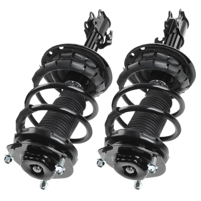 2 Pcs Front Complete Strut & Coil Spring Assembly