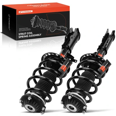2 Pcs Front Complete Strut & Coil Spring Assembly