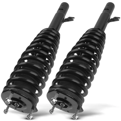 2 Pcs Rear Complete Strut & Coil Spring Assembly