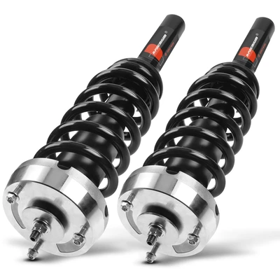 2 Pcs Front Complete Strut & Coil Spring Assembly
