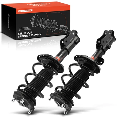 2 Pcs Front Driver & Passenger Complete Strut & Coil Spring Assembly