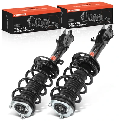 2 Pcs Front Complete Strut & Coil Spring Assembly