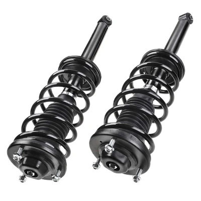 2 Pcs Rear Complete Strut & Coil Spring Assembly