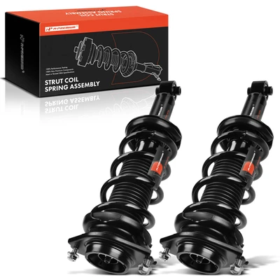 2 Pcs Rear Complete Strut & Coil Spring Assembly