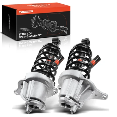 2 Pcs Rear Complete Strut & Coil Spring Assembly