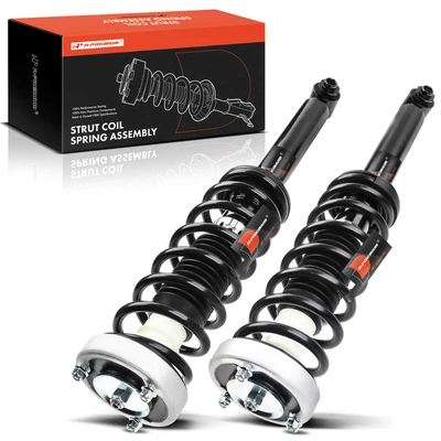 2 Pcs Rear Complete Strut & Coil Spring Assembly