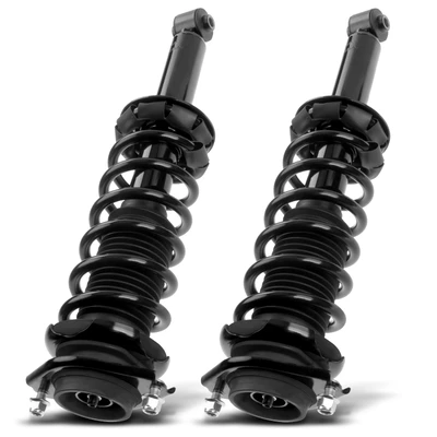 2 Pcs Rear Complete Strut & Coil Spring Assembly
