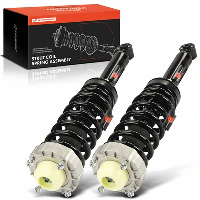 2 Pcs Rear Complete Strut & Coil Spring Assembly
