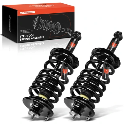 2 Pcs Rear Complete Strut & Coil Spring Assembly