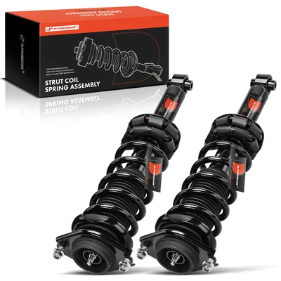 2 Pcs Rear Complete Strut & Coil Spring Assembly