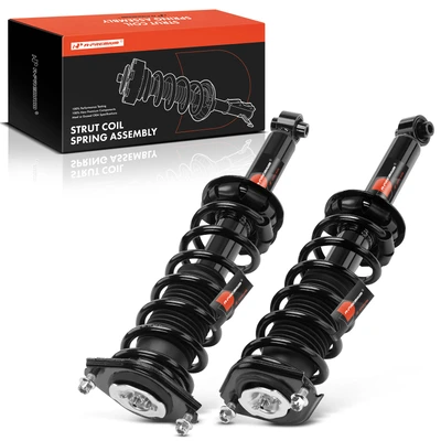2 Pcs Rear Complete Strut & Coil Spring Assembly