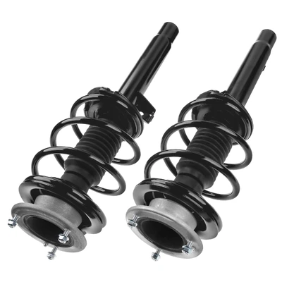 2 Pcs Front Complete Strut & Coil Spring Assembly