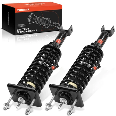 2 Pcs Rear Complete Strut & Coil Spring Assembly