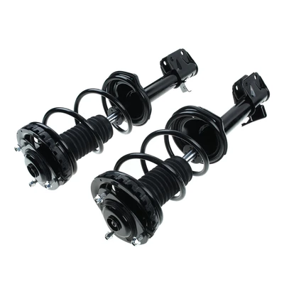 2 Pcs Rear Complete Strut & Coil Spring Assembly