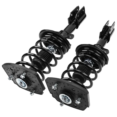 2 Pcs Rear Complete Strut & Coil Spring Assembly