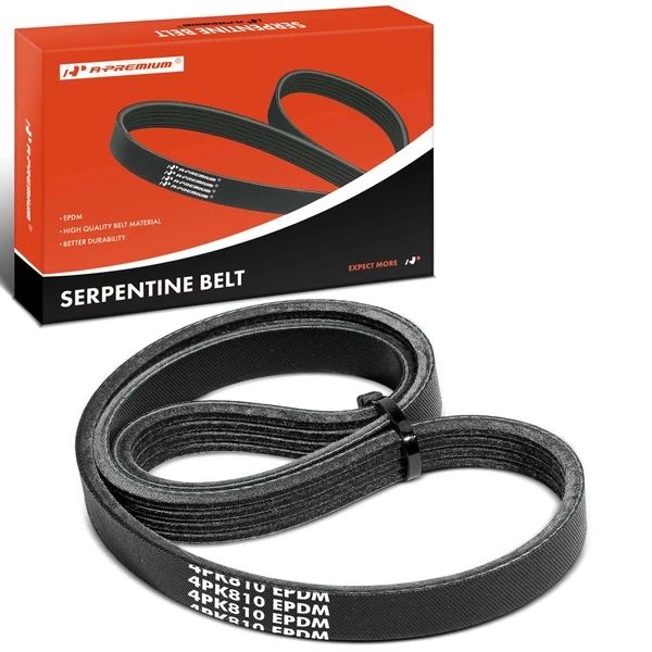 31.89 inch Serpentine Belt for Nissan Sentra 1999 Hyundai Accent 2001-2007 Kia Rio